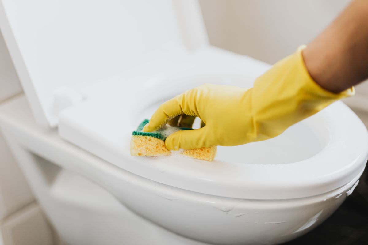 A gloved hand scrubbing a toilet with a sponge